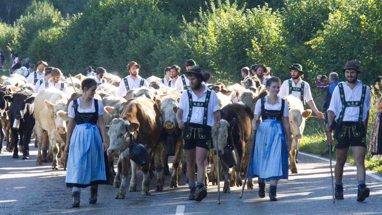 Fewo "Staufen Lodge" اوبرستوفن المظهر الخارجي الصورة